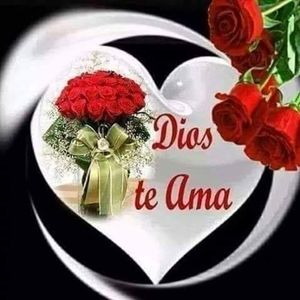 Meet your Posher, Fredy